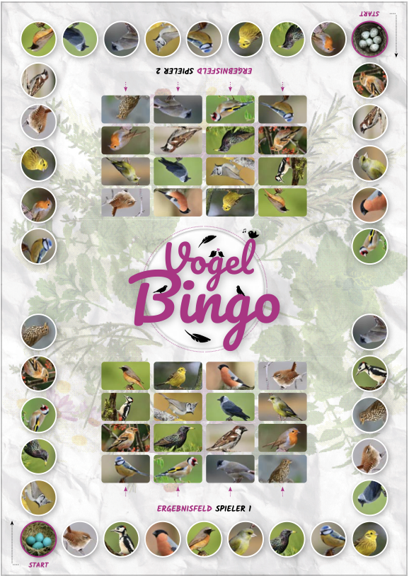 Druckvorlage Vogel-Bingo für Anfänger