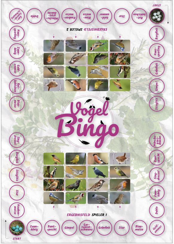 Druckvorlage Vogel-Bingo für Fortgeschrittene